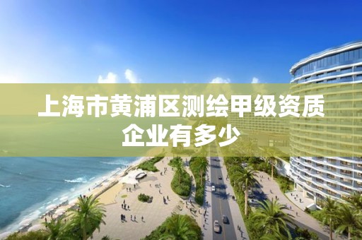 上海市黄浦区测绘甲级资质企业有多少