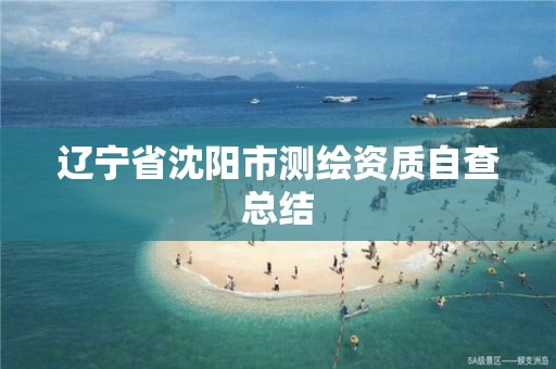 辽宁省沈阳市测绘资质自查总结