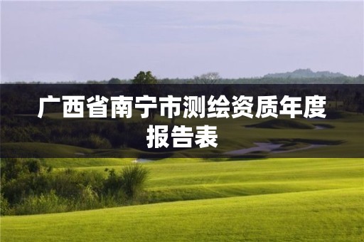 广西省南宁市测绘资质年度报告表