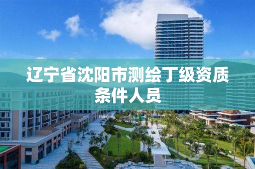 辽宁省沈阳市测绘丁级资质条件人员