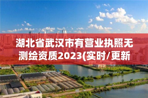 湖北省武汉市有营业执照无测绘资质2023(实时/更新中)