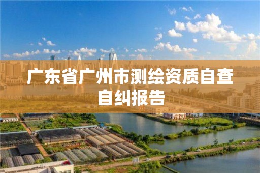 广东省广州市测绘资质自查自纠报告