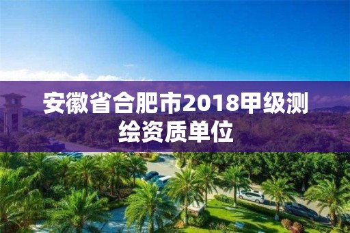 安徽省合肥市2018甲级测绘资质单位