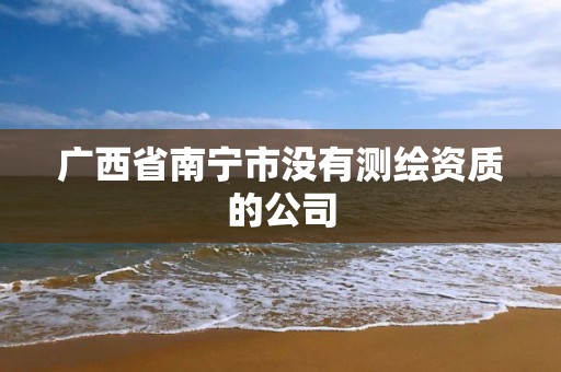 广西省南宁市没有测绘资质的公司