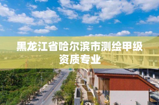 黑龙江省哈尔滨市测绘甲级资质专业