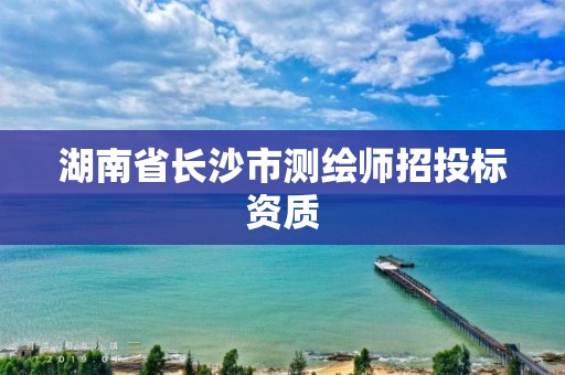 湖南省长沙市测绘师招投标资质