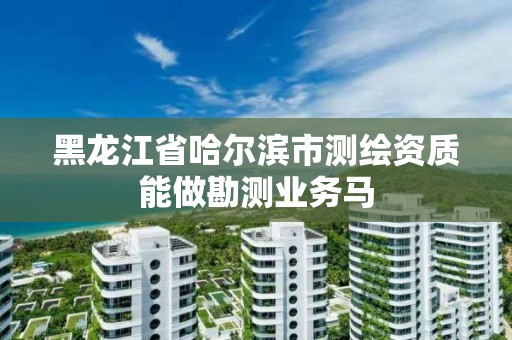 黑龙江省哈尔滨市测绘资质能做勘测业务马