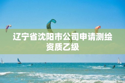 辽宁省沈阳市公司申请测绘资质乙级