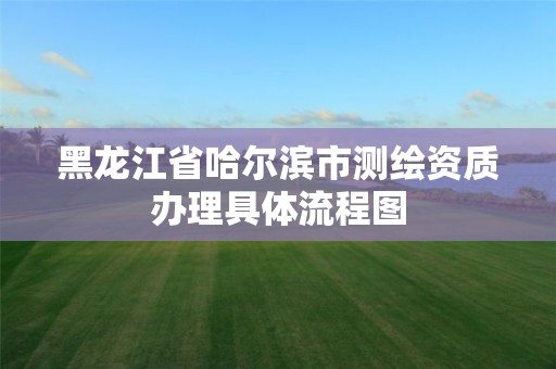 黑龙江省哈尔滨市测绘资质办理具体流程图