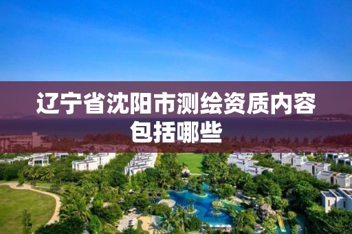 辽宁省沈阳市测绘资质内容包括哪些