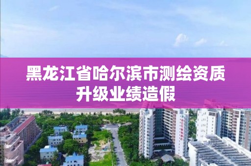 黑龙江省哈尔滨市测绘资质升级业绩造假