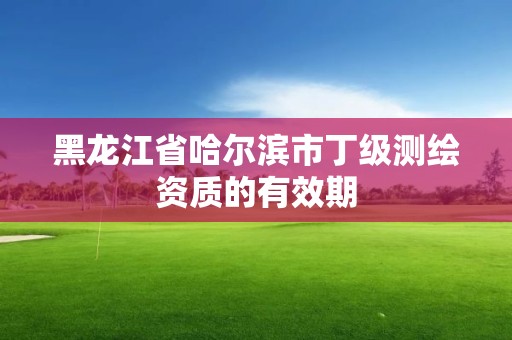 黑龙江省哈尔滨市丁级测绘资质的有效期