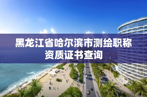 黑龙江省哈尔滨市测绘职称资质证书查询