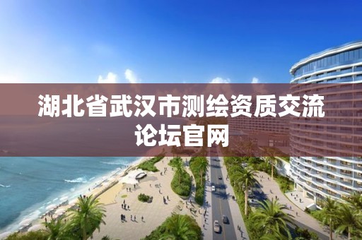 湖北省武汉市测绘资质交流论坛官网