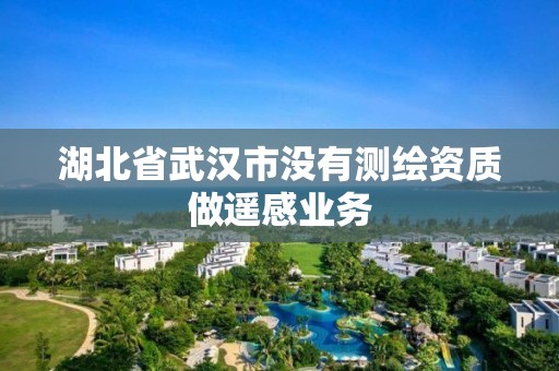 湖北省武汉市没有测绘资质做遥感业务