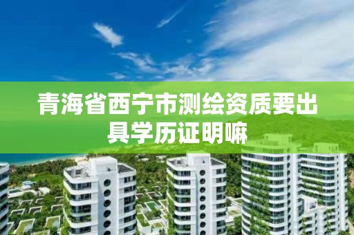 青海省西宁市测绘资质要出具学历证明嘛