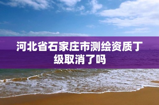 河北省石家庄市测绘资质丁级取消了吗