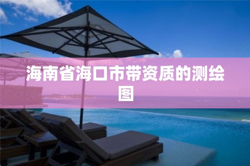 海南省海口市带资质的测绘图