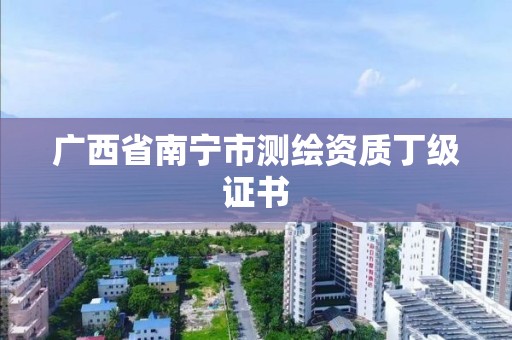 广西省南宁市测绘资质丁级证书