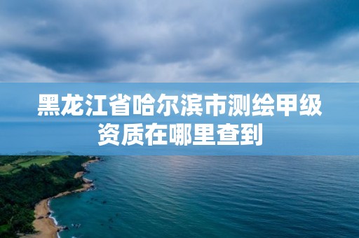 黑龙江省哈尔滨市测绘甲级资质在哪里查到