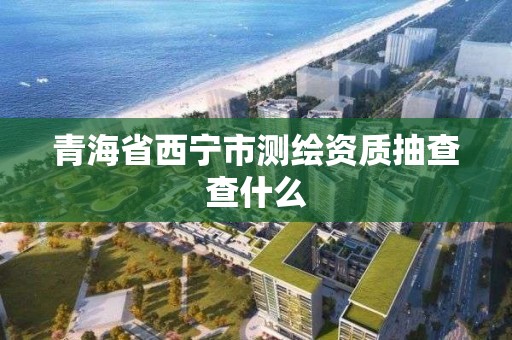 青海省西宁市测绘资质抽查查什么