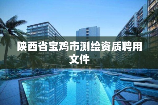 陕西省宝鸡市测绘资质聘用文件