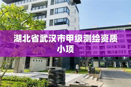 湖北省武汉市甲级测绘资质小项