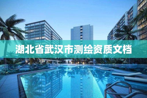 湖北省武汉市测绘资质文档