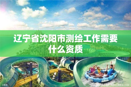 辽宁省沈阳市测绘工作需要什么资质