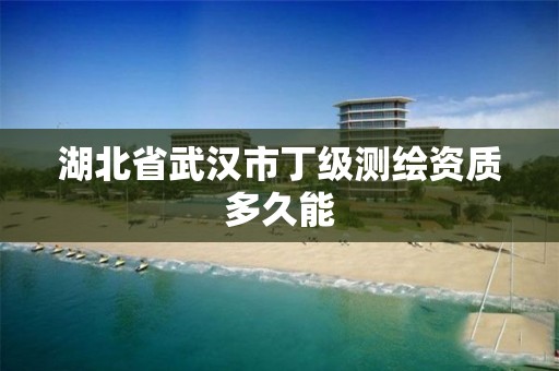 湖北省武汉市丁级测绘资质多久能