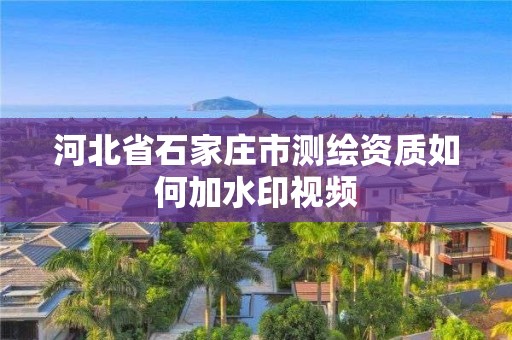 河北省石家庄市测绘资质如何加水印视频