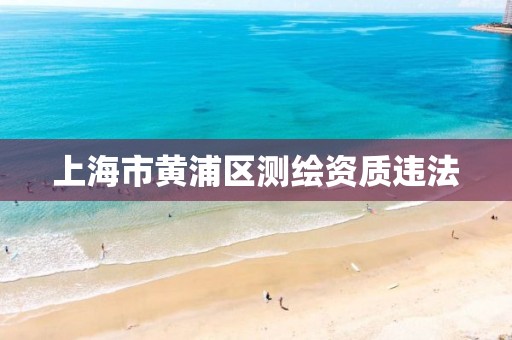 上海市黄浦区测绘资质违法