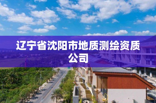 辽宁省沈阳市地质测绘资质公司