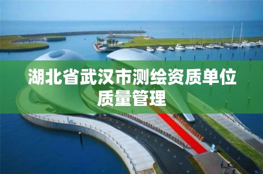 湖北省武汉市测绘资质单位质量管理