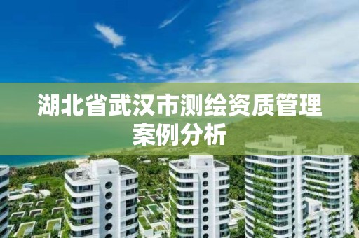 湖北省武汉市测绘资质管理案例分析