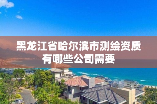 黑龙江省哈尔滨市测绘资质有哪些公司需要