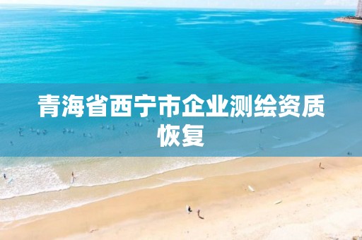 青海省西宁市企业测绘资质恢复