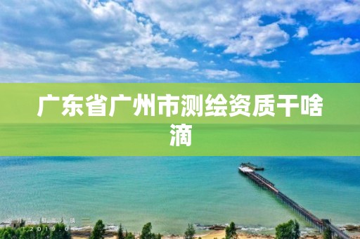 广东省广州市测绘资质干啥滴