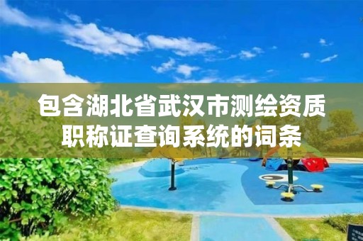 包含湖北省武汉市测绘资质职称证查询系统的词条