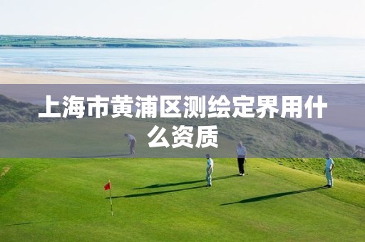 上海市黄浦区测绘定界用什么资质