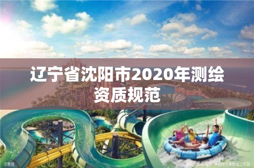 辽宁省沈阳市2020年测绘资质规范