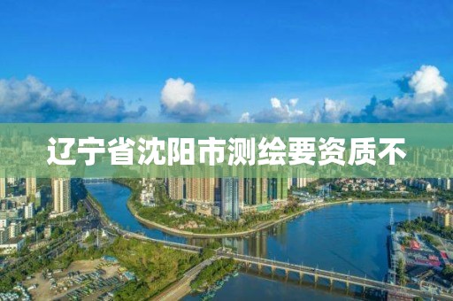 辽宁省沈阳市测绘要资质不