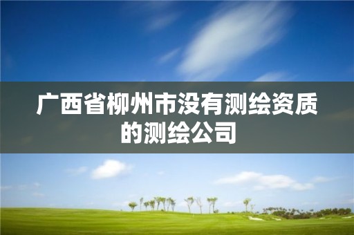 广西省柳州市没有测绘资质的测绘公司