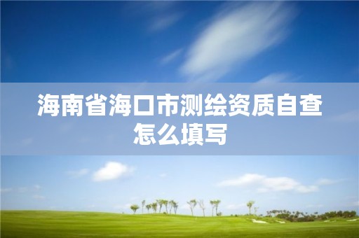 海南省海口市测绘资质自查怎么填写