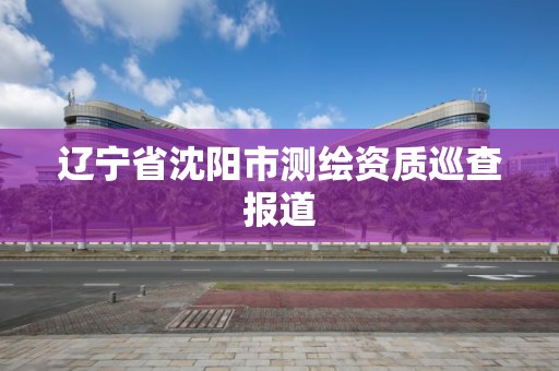 辽宁省沈阳市测绘资质巡查报道