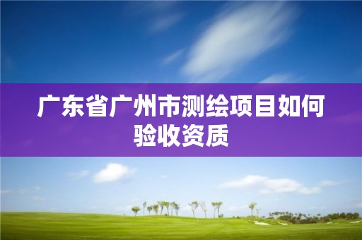 广东省广州市测绘项目如何验收资质