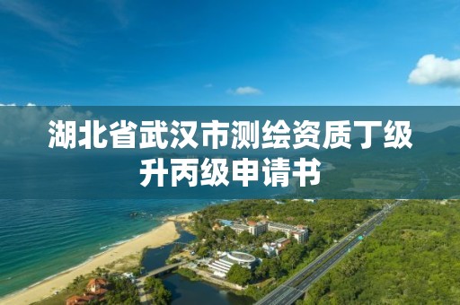 湖北省武汉市测绘资质丁级升丙级申请书