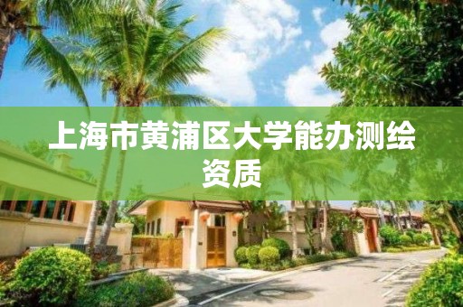 上海市黄浦区大学能办测绘资质