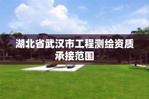 湖北省武汉市工程测绘资质承接范围