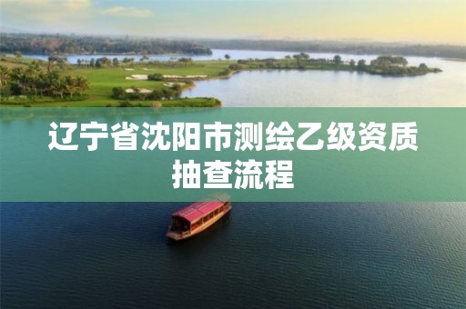 辽宁省沈阳市测绘乙级资质抽查流程